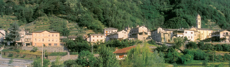 BERGFEX Panoramic map Vervio Map Vervio Alp Vervio