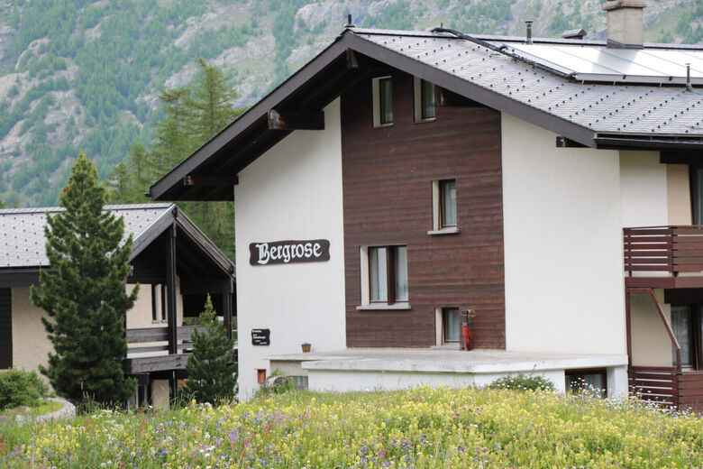 Bergrose