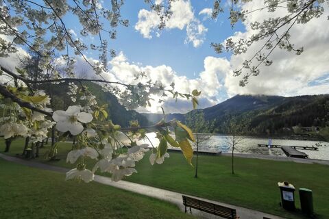 Frühling am Erlaufsee