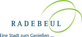 Logo Lichterglanz und Budenzauber - Weihnachtsmarkt in Radebeul