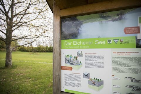 Infotafel Eichener See