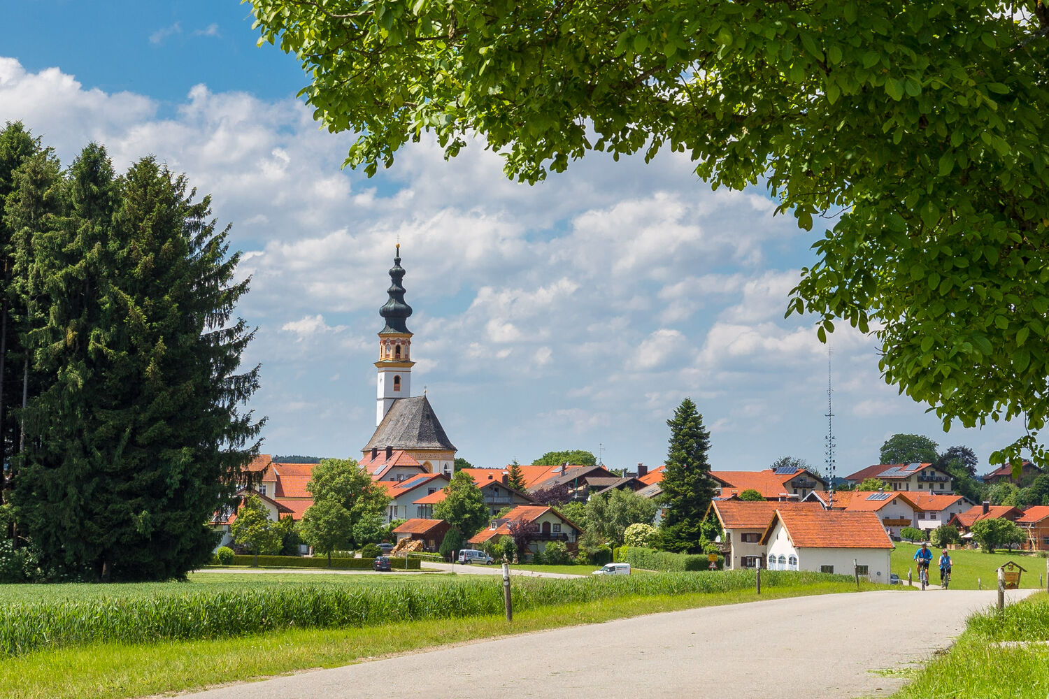 Wonneberg