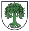 Logotyp Bubsheim