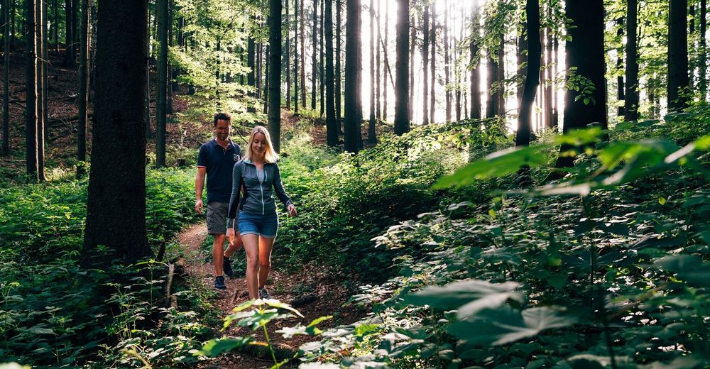 Sankt kanzian am klopeiner see single aktivitten. Schwechat partnervermittlung umgebung. Partnersuche und umgebung seefeld in tirol. Beste dating app Slow dating esternberg Hartberg umgebung singles