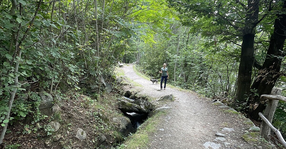 Partschinser Wasserfälle BERGFEX Wanderung Tour Südtirol