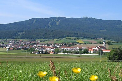 Hohenbogen