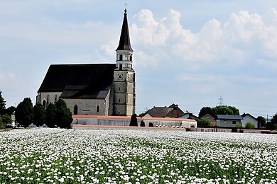 Altheim