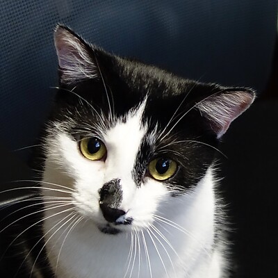 Avatar alkaen Charlie99