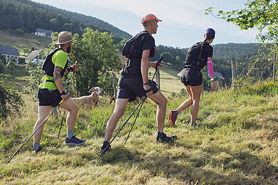 Vallée de Kaysersberg