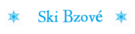 Logo Soláň - Bzové