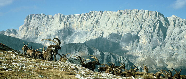 Marmolada - Dolomiten
