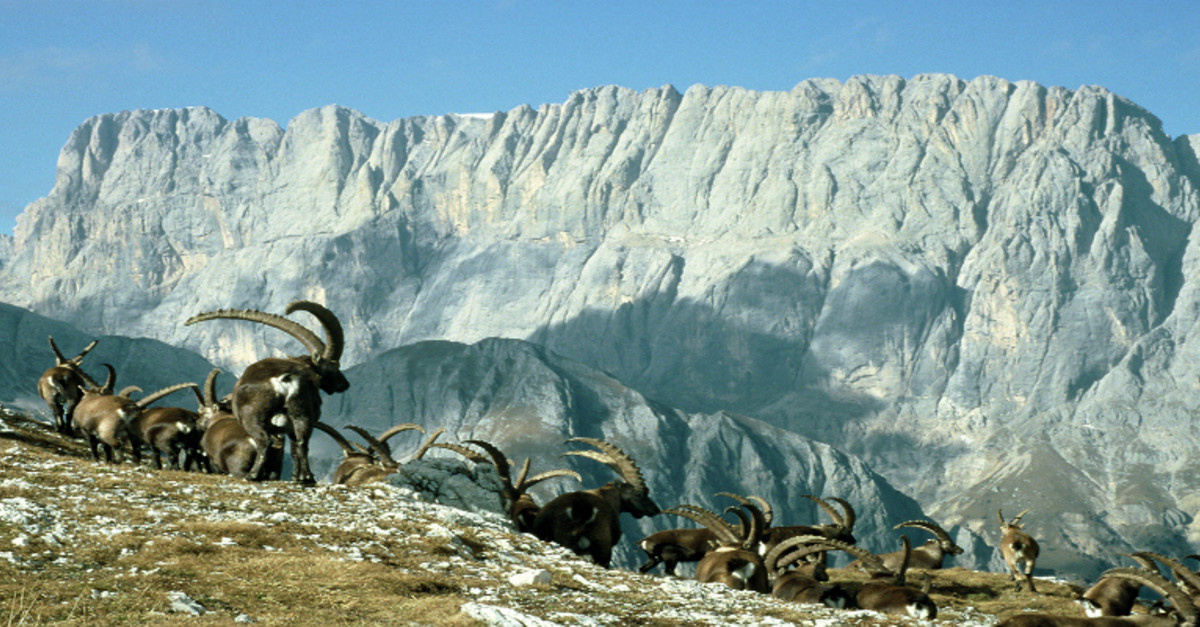 BERGFEX: Marmolada - Dolomiten: Dovolenka Marmolada - Dolomiten ...
