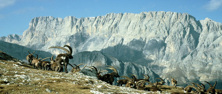 Marmolada - Dolomiten