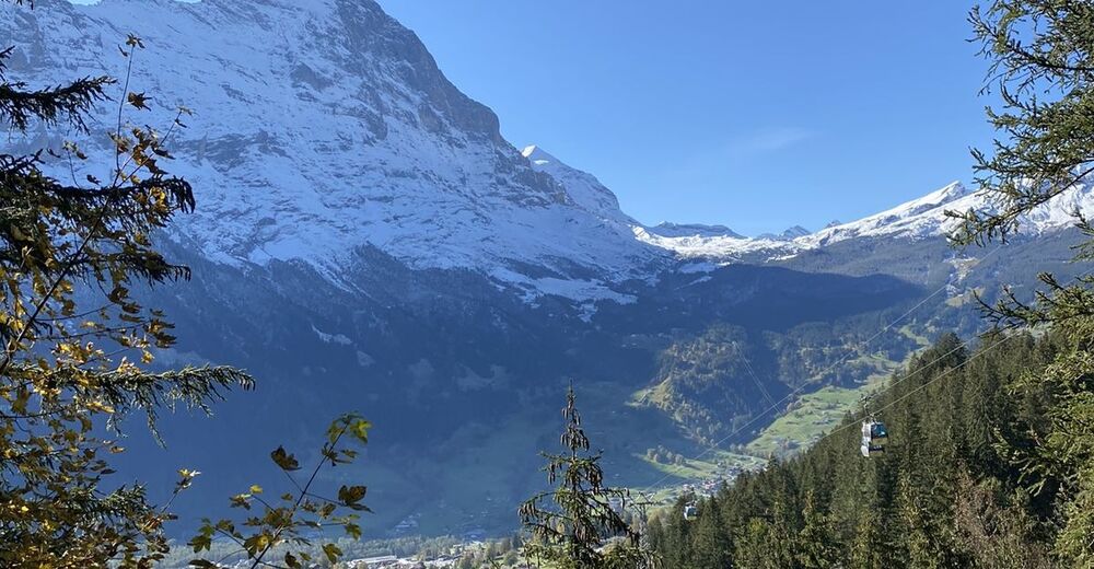 Grindelwald -Bort - BERGFEX - Wanderung - Tour Bern & Region Bern