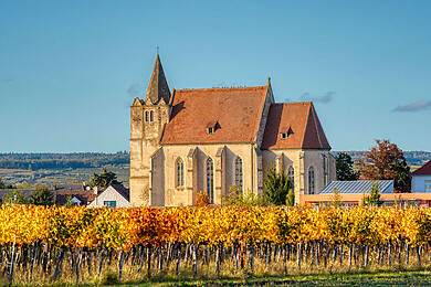 Grafenegg