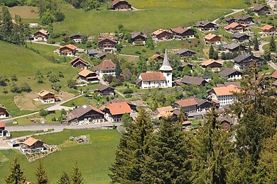 Erlenbach / Simmental