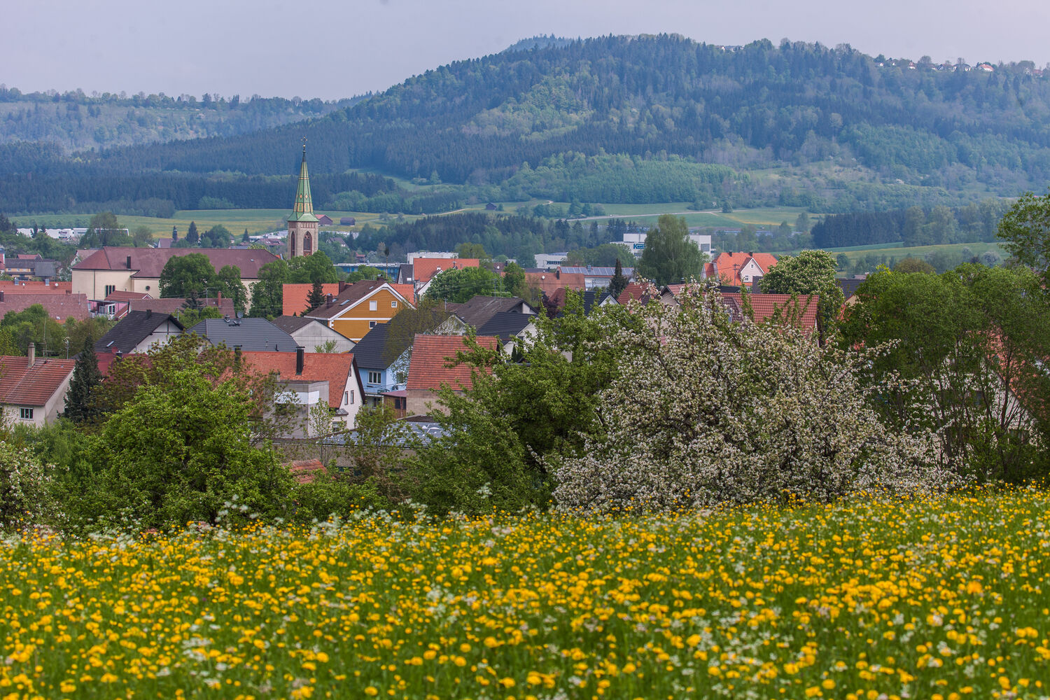 Denkingen