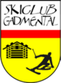 Логотип Gadmen