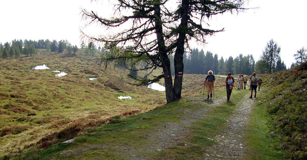 Stöfflerberg Möselalm Weißbriach BERGFEX Wanderung Tour Kärnten