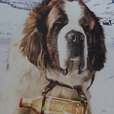 Avatar von Biggi Meyer-Martens