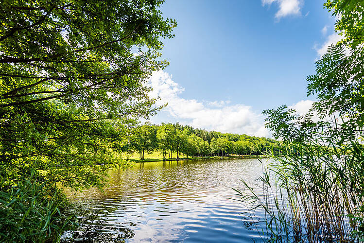 Franking/Holzöster am See