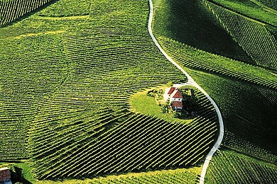 Slovenske Konjice