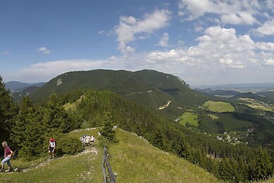 Grünbach am Schneeberg