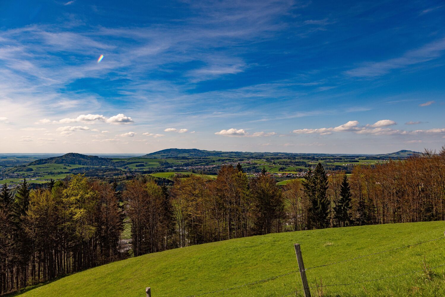 Hallwang