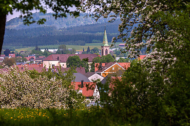 Denkingen