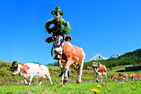 Filzmooser Bauernherbst 2015