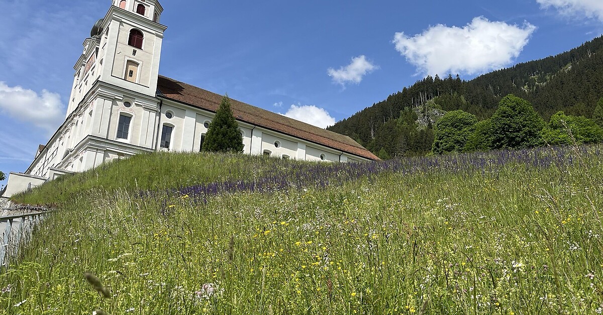 Treinstapper Disentis Trun Bergfex Wanderung Tour Graub Nden