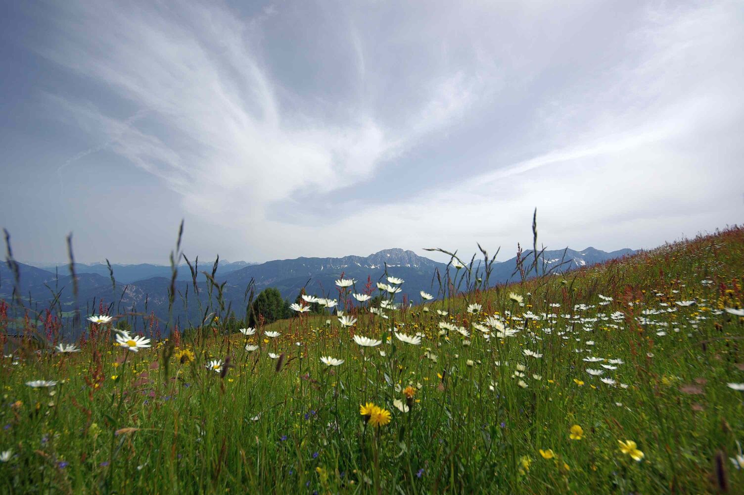 Emberger Alm