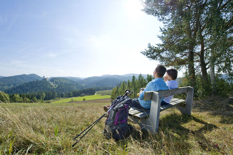 Aussicht auf Burg Rappottenstein