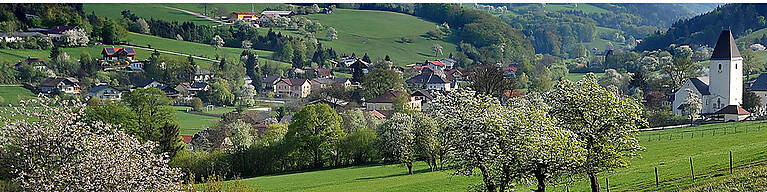 Eschenau