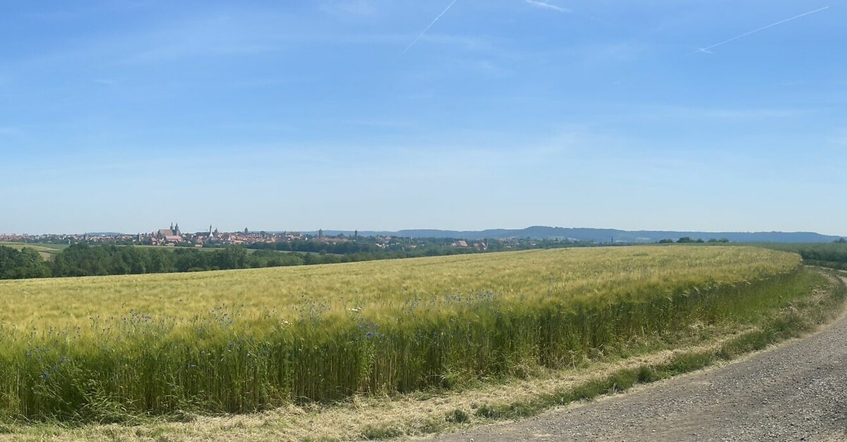 Runde von Rothenburg ob der Tauber Bettenfeld Kneipp BERGFEX
