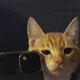 Avatar de Martin