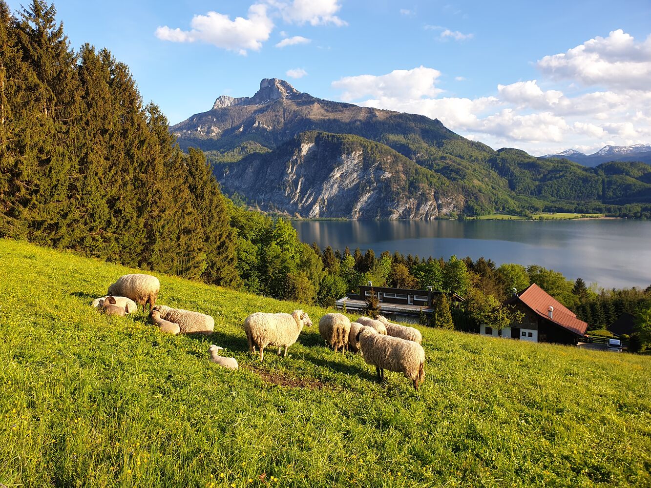 Innerschwand am Mondsee