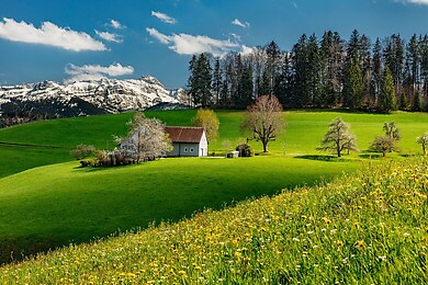 Appenzellerland