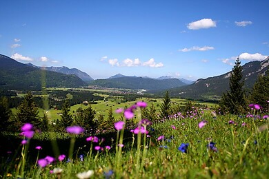 Wallgau