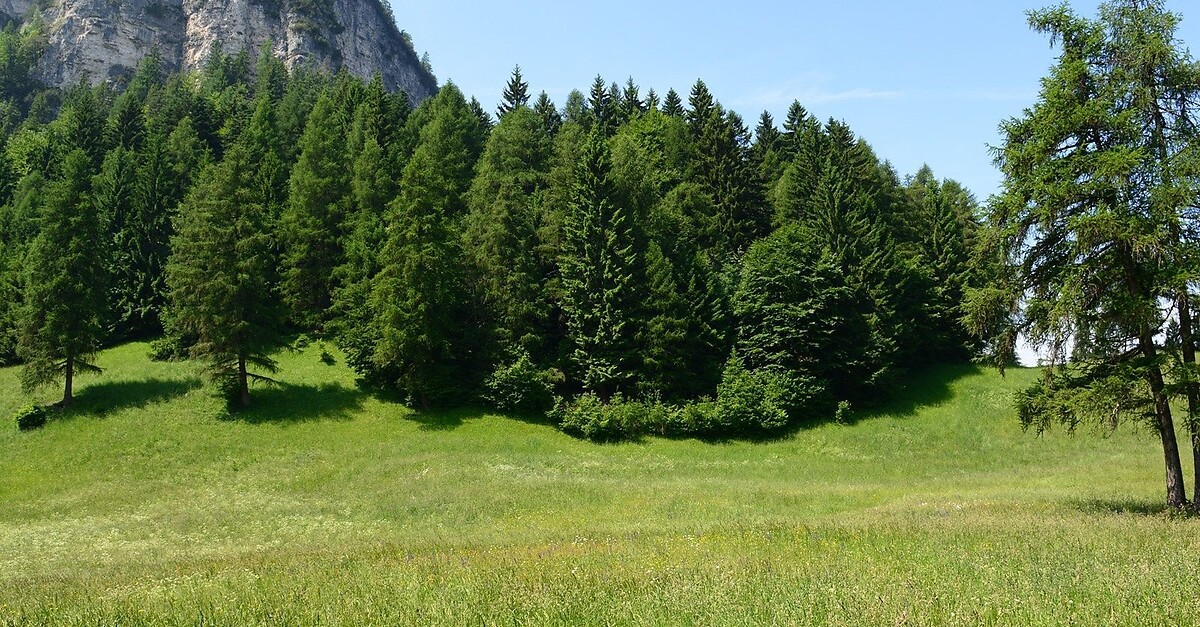 Königswiese Naturpark am Trudner Horn BERGFEX Wanderung Tour