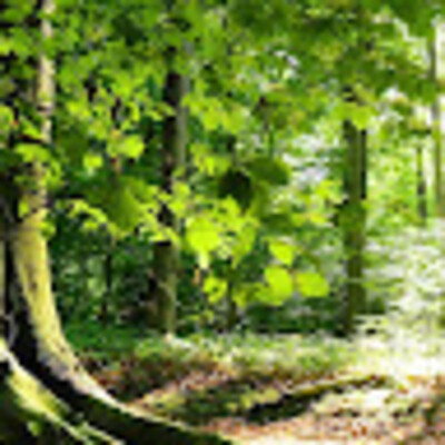 Аватар из giomex