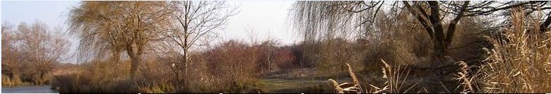 Schönau an der Triesting