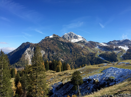 Logotyp Waldnerhütte