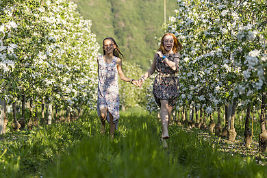 Leifers - Branzoll - Pfatten