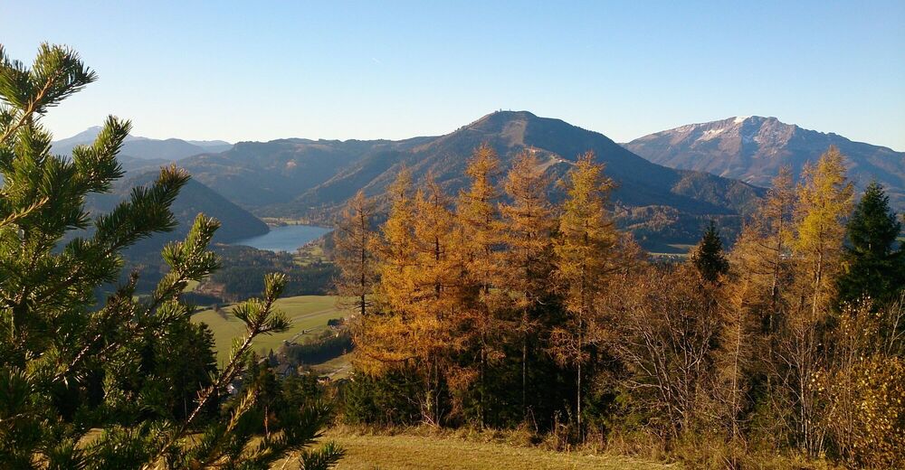 Rund Um Die Mariazeller Bürgeralpe (694 Und 692) - BERGFEX - Wanderung ...