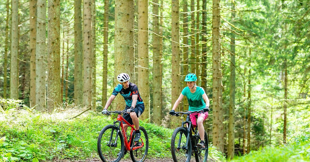 Reisalpenblick Strecke BERGFEX Mountainbike Tour Niederösterreich