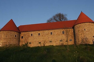 Helfenberg - Ahorn