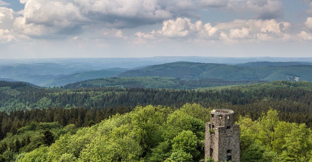 Rundweg Hocheif... BERGFEX Wanderung Tour RheinlandPfalz