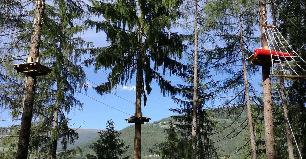 1. Single-Urlaub mit Kind. 1. Selbstversorger. 1. Orte. Alle Orte Schnberg-Lachtal Oberwlz Stadt Sankt Peter am Kammersberg Schder. Angebote filtern. Familienurlaub Angebote und Pauschalen Oberwlz - bergfex