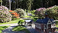 Región de verano